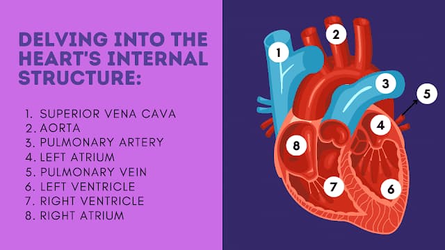 The Rise of "Super Apps": One App to Rule Them All